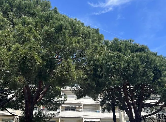 Ambre D' Or By Welcome To شقة